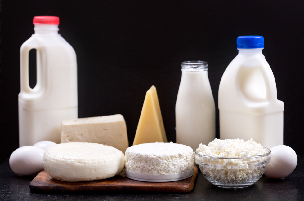 various dairy products